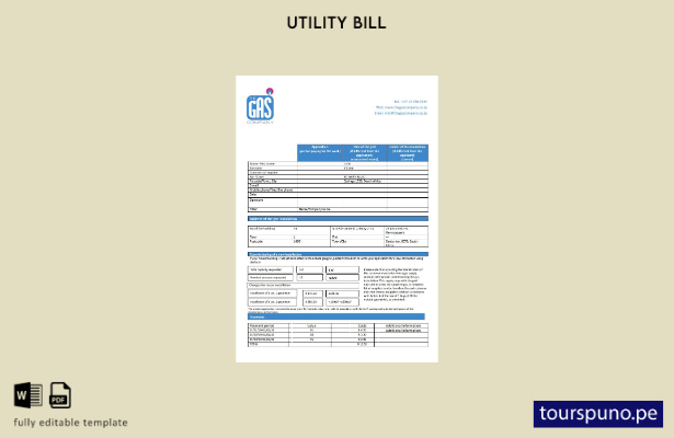listo para imprimir Sudáfrica Plantilla de factura de servicios públicos de gas 